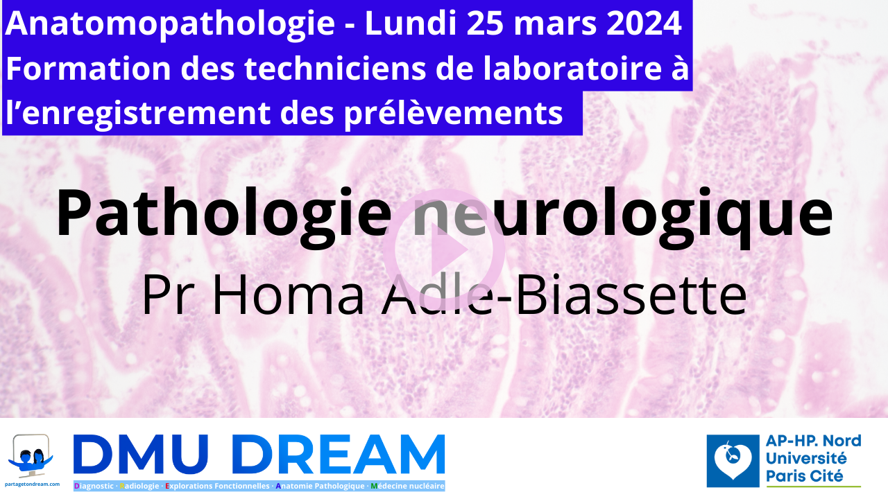 Pathologie neurologique – Pr Homa Adle-Biassette